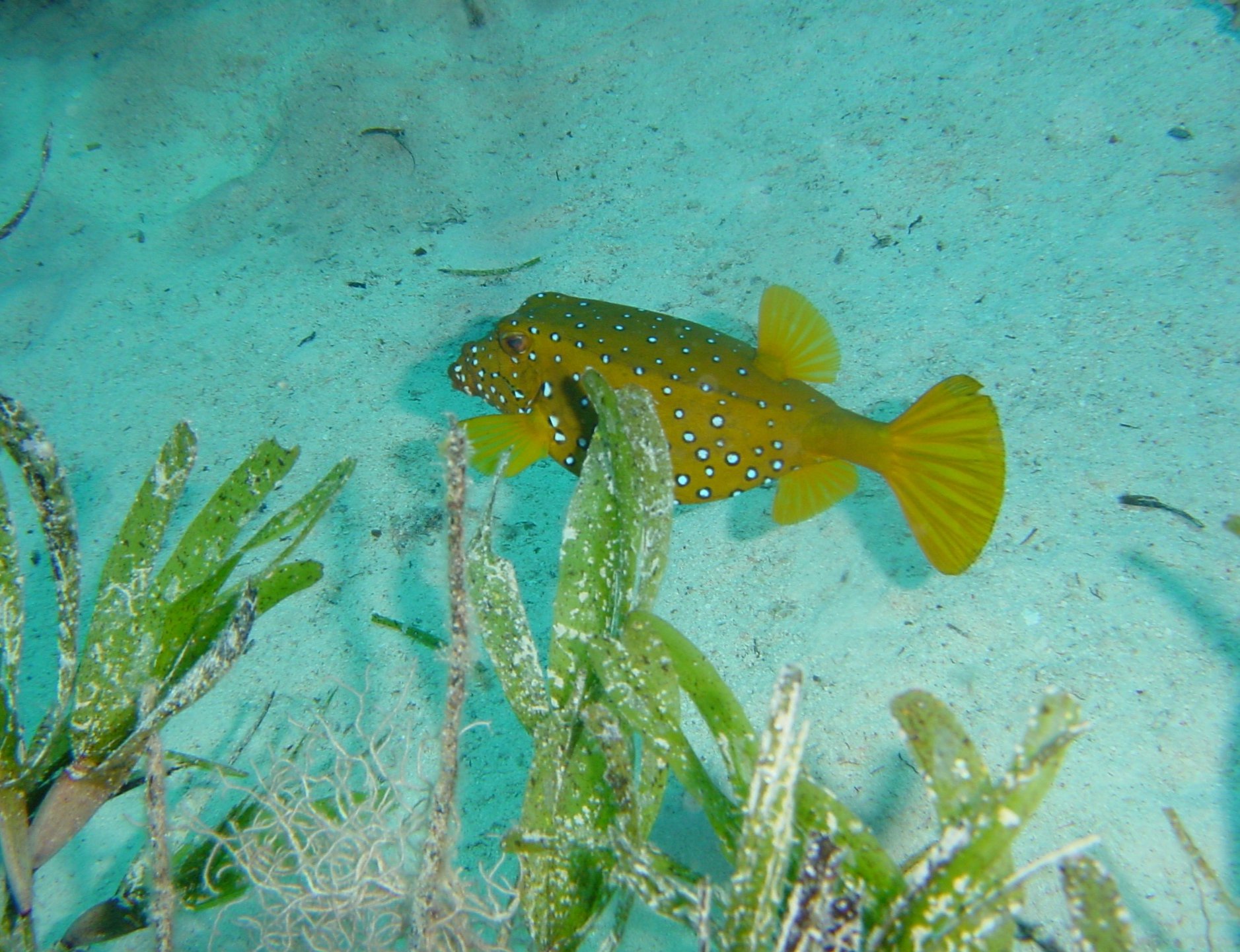 Klicken f�r Bild in voller Aufl�sung