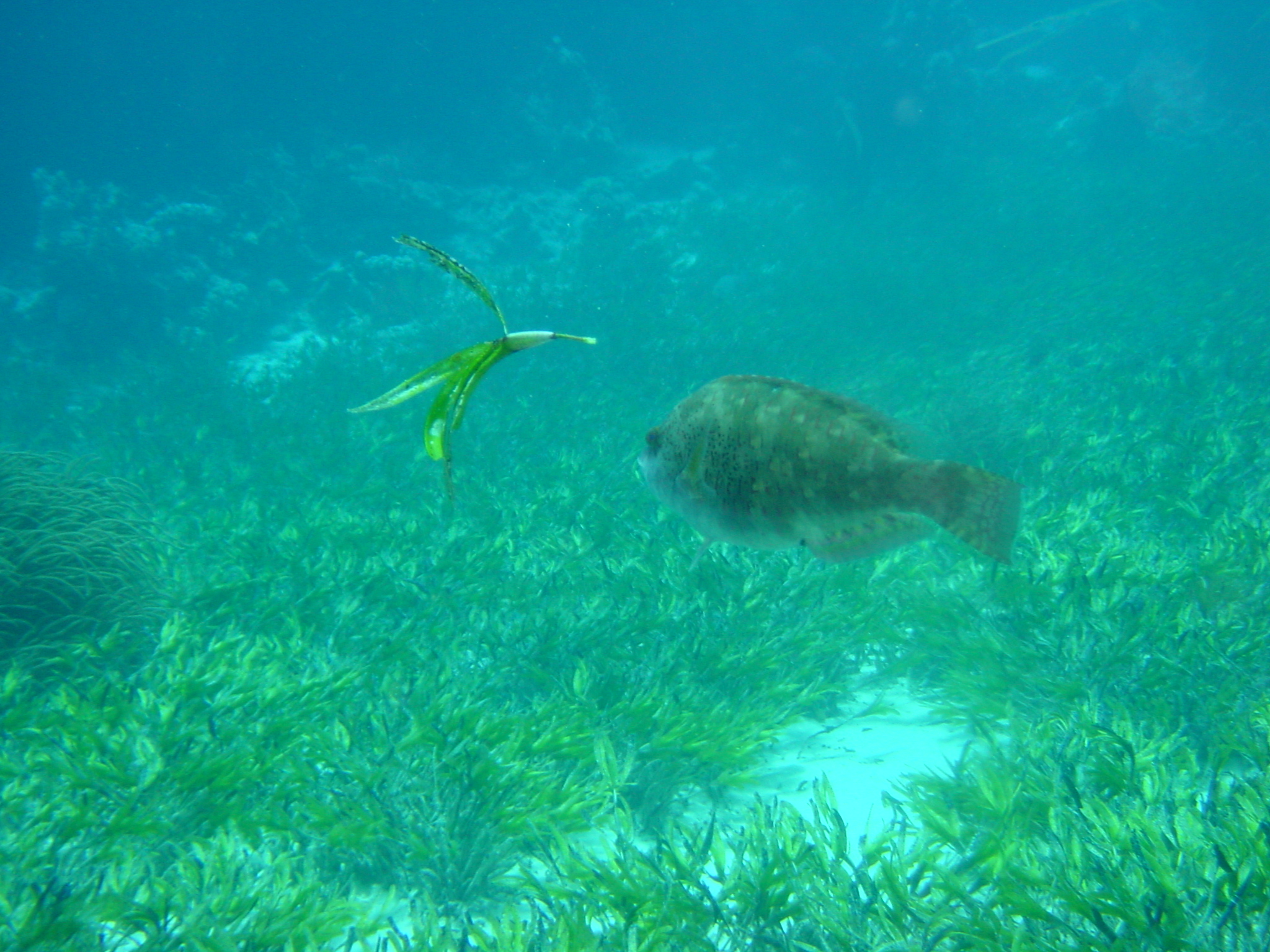 Klicken f�r Bild in voller Aufl�sung