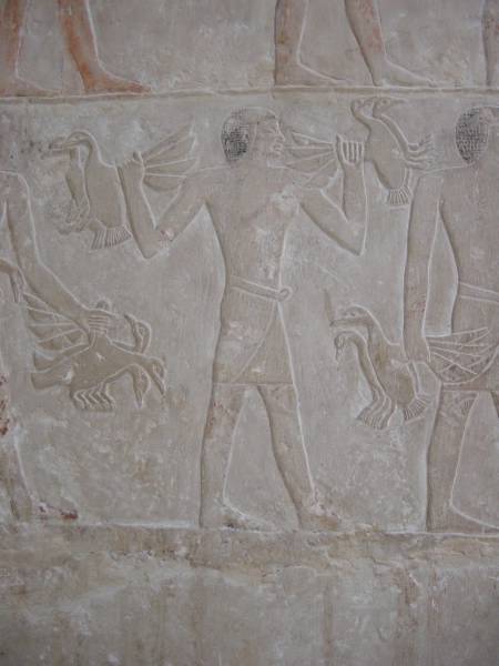 Klicken f�r Bild in voller Aufl�sung