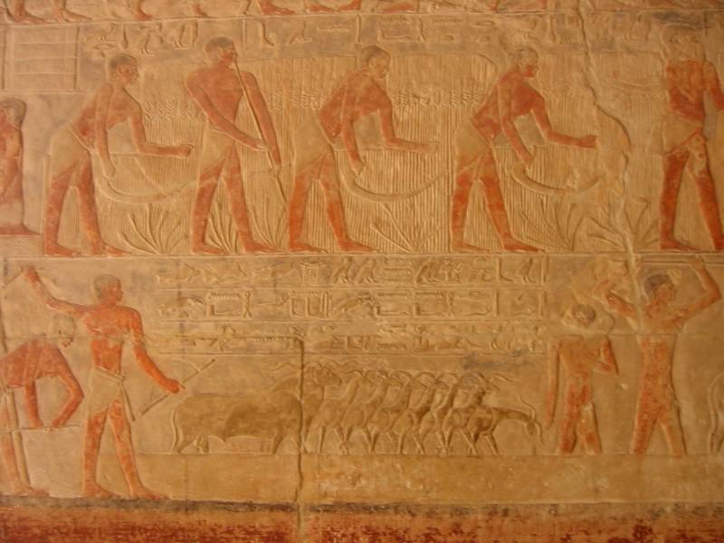 Klicken f�r Bild in voller Aufl�sung