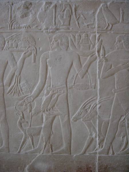 Klicken f�r Bild in voller Aufl�sung