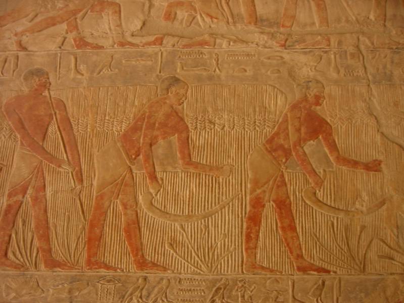 Klicken f�r Bild in voller Aufl�sung