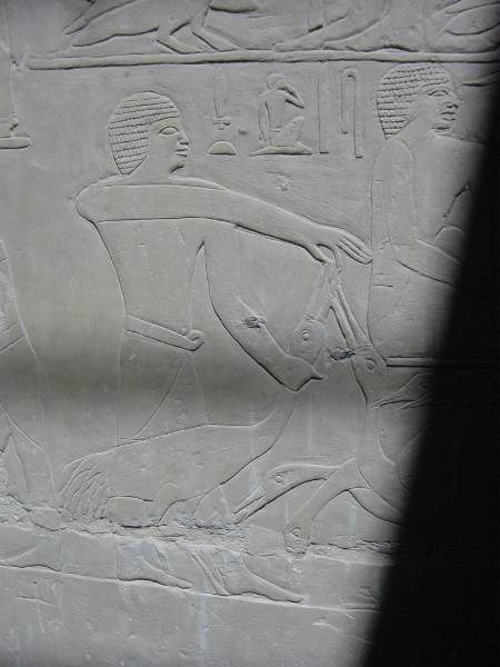 Klicken f�r Bild in voller Aufl�sung