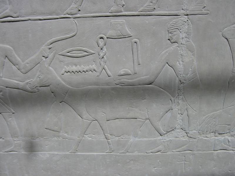 Klicken f�r Bild in voller Aufl�sung