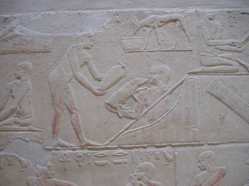 Klicken f�r Bild in voller Aufl�sung