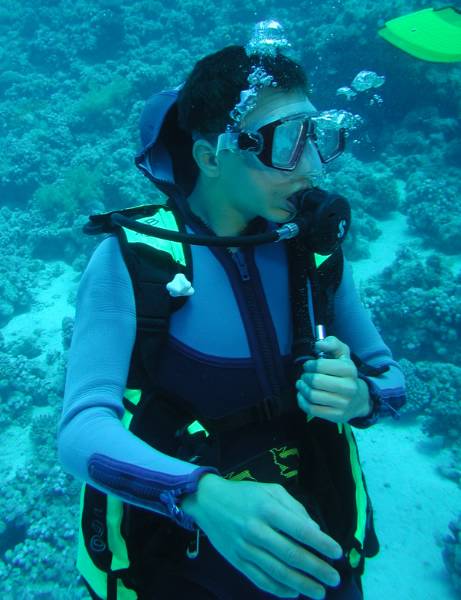 Klicken f�r Bild in voller Aufl�sung