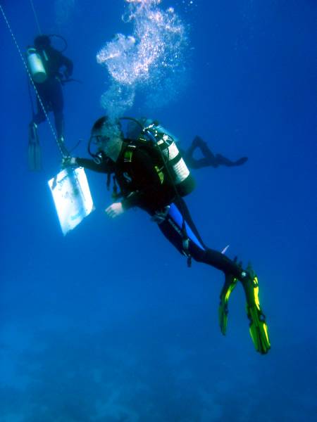 Klicken f�r Bild in voller Aufl�sung