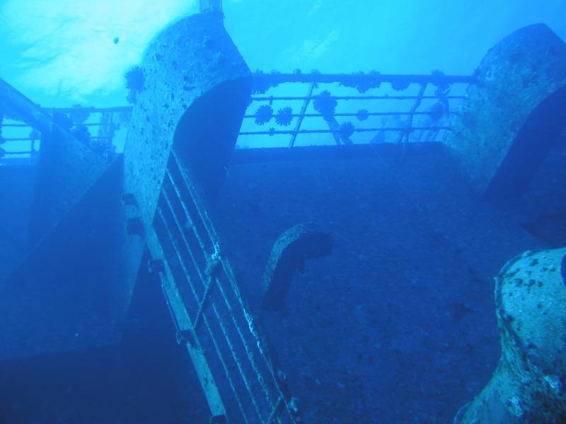 Klicken f�r Bild in voller Aufl�sung