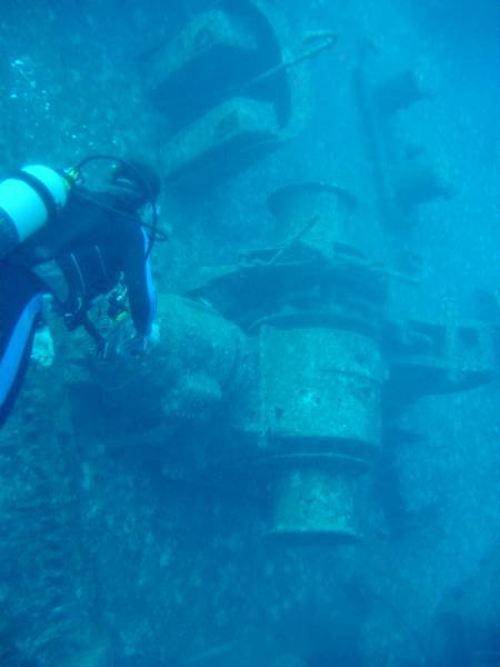 Klicken f�r Bild in voller Aufl�sung