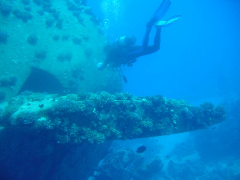 Klicken f�r Bild in voller Aufl�sung