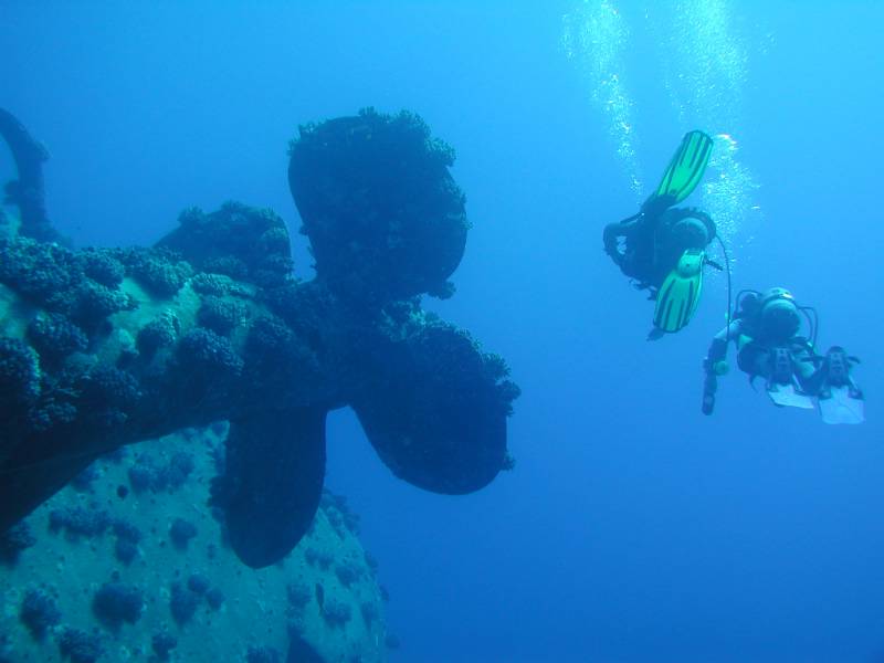 Klicken f�r Bild in voller Aufl�sung