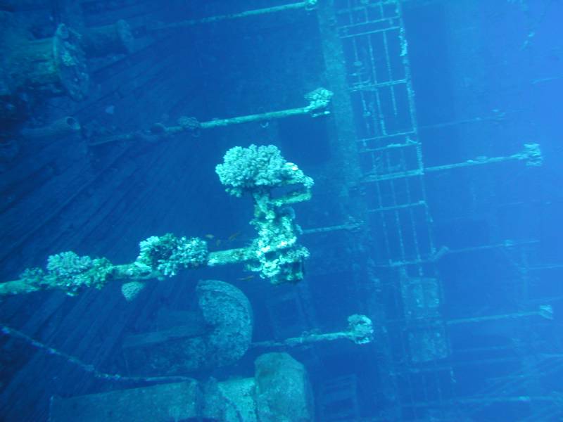 Klicken f�r Bild in voller Aufl�sung