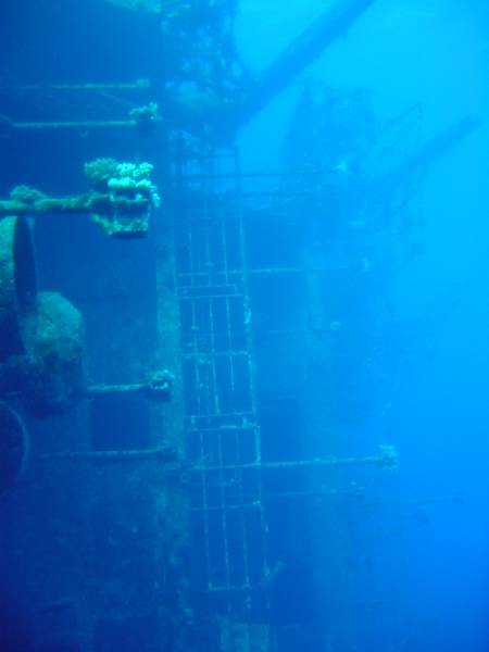 Klicken f�r Bild in voller Aufl�sung