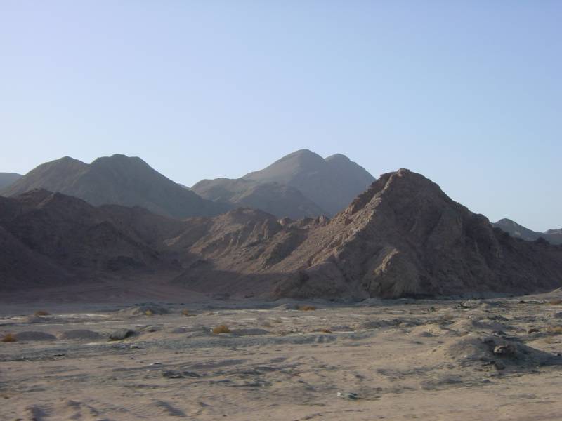 Klicken f�r Bild in voller Aufl�sung