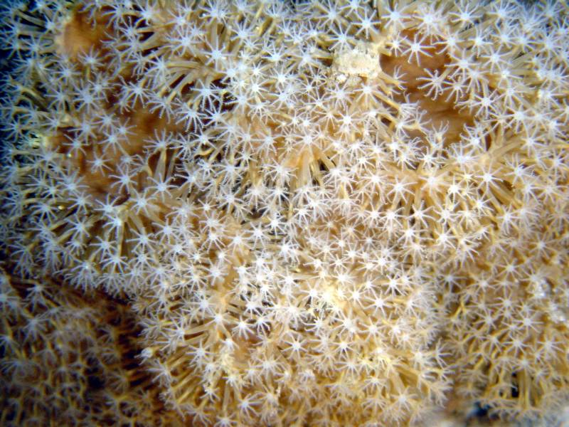 Klicken f�r Bild in voller Aufl�sung