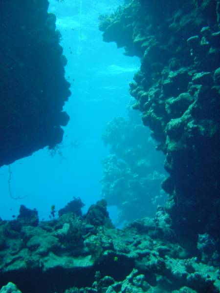 Klicken f�r Bild in voller Aufl�sung