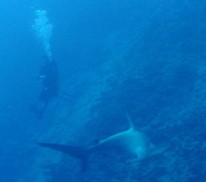 Klicken f�r Bild in voller Aufl�sung