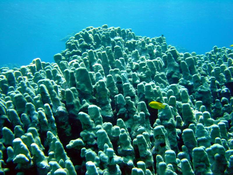 Klicken f�r Bild in voller Aufl�sung