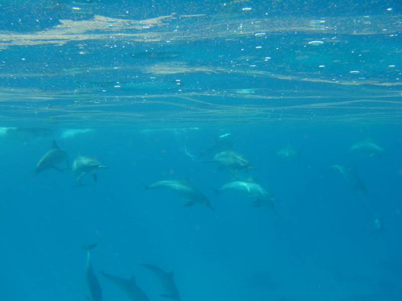 Klicken f�r Bild in voller Aufl�sung