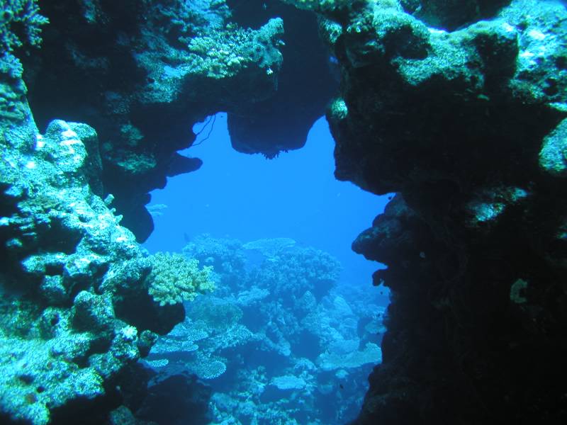 Klicken f�r Bild in voller Aufl�sung