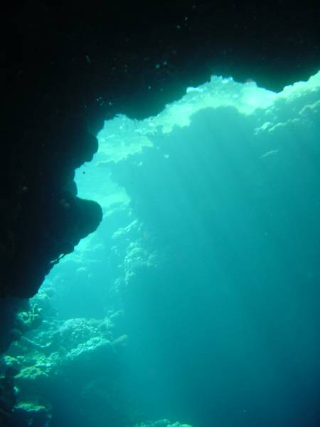 Klicken f�r Bild in voller Aufl�sung