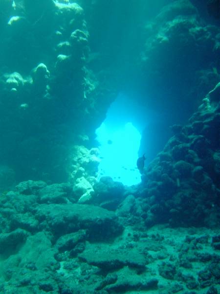 Klicken f�r Bild in voller Aufl�sung