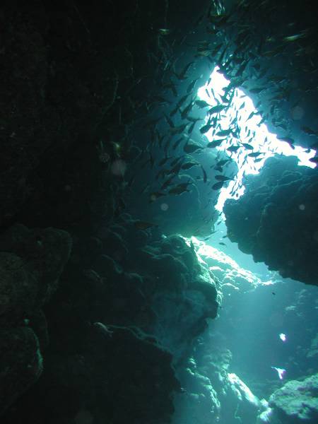 Klicken f�r Bild in voller Aufl�sung