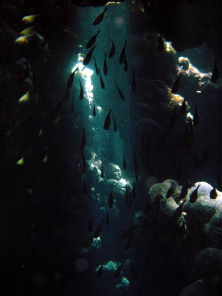 Klicken f�r Bild in voller Aufl�sung