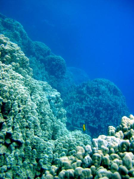 Klicken f�r Bild in voller Aufl�sung