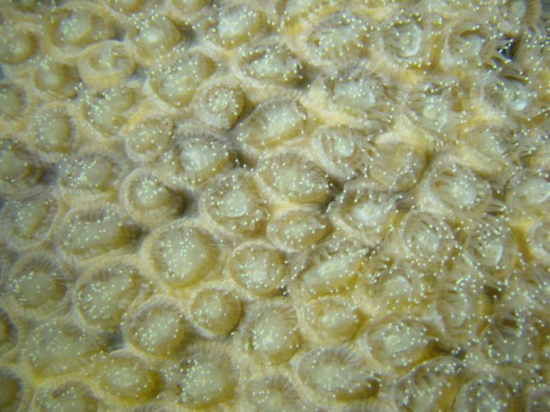 Klicken f�r Bild in voller Aufl�sung