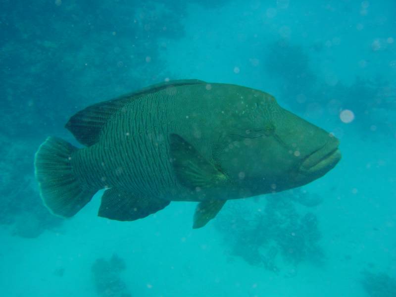 Klicken f�r Bild in voller Aufl�sung