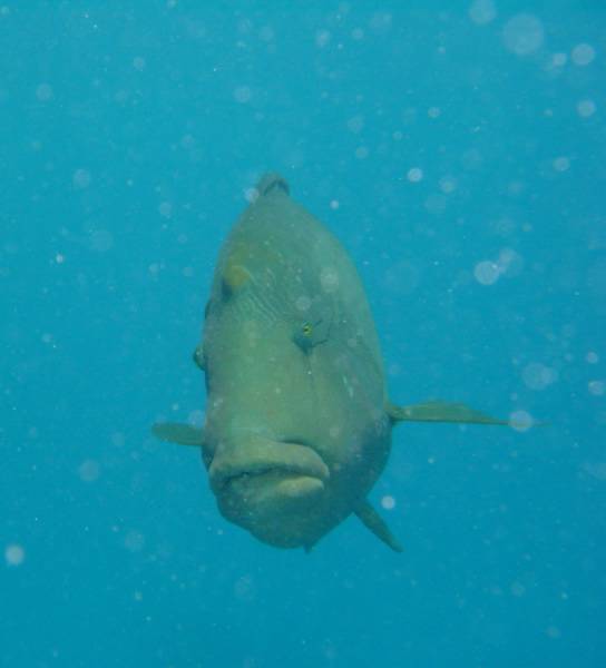 Klicken f�r Bild in voller Aufl�sung