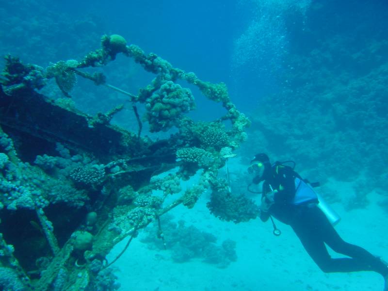 Klicken f�r Bild in voller Aufl�sung