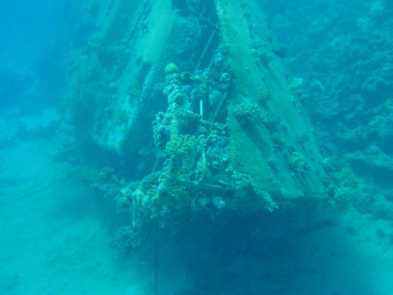 Klicken f�r Bild in voller Aufl�sung