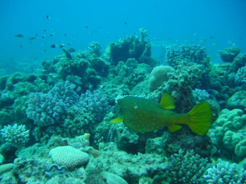 Klicken f�r Bild in voller Aufl�sung