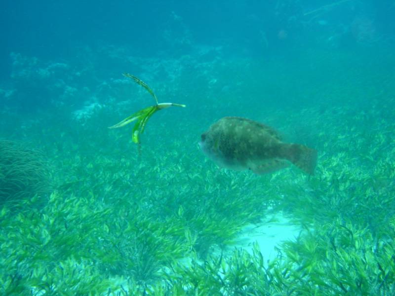 Klicken f�r Bild in voller Aufl�sung