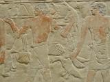 Relief in einer Grabanlage bei Sakkara