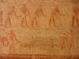 Relief in einer Grabanlage bei Sakkara