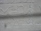 Relief in einer Grabanlage bei Sakkara