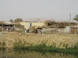 Im Niltal kurz vor Luxor