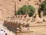 Widder-Alle am eingang des Karnak-Tempels