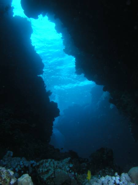 Korallenlabyrinth bei Shaab Heaven One