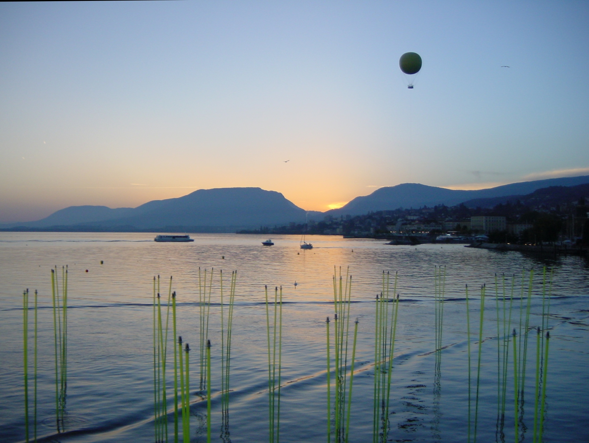 Klicken f�r Bild in Originalgr�sse