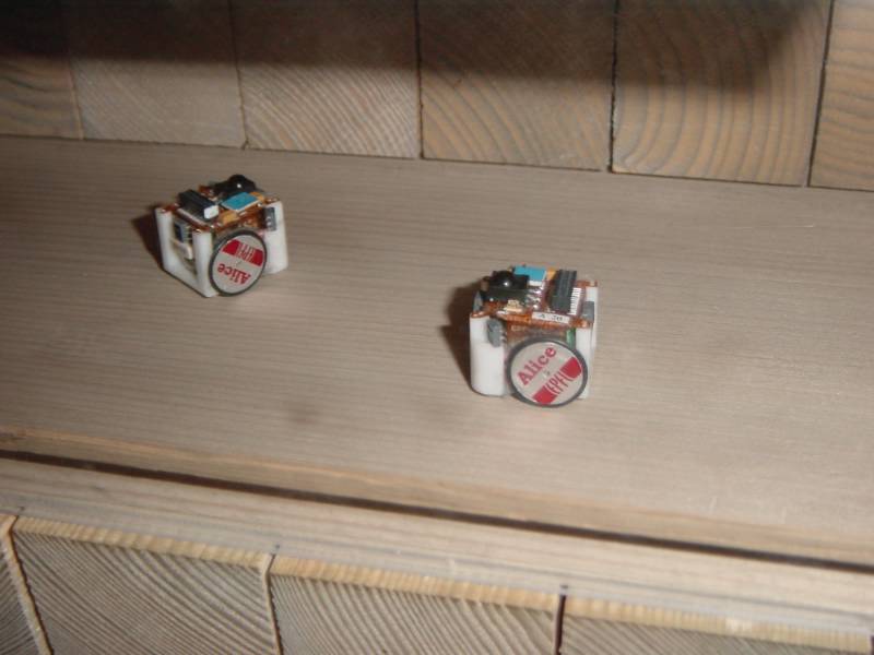 Klicken f�r Bild in Originalgr�sse