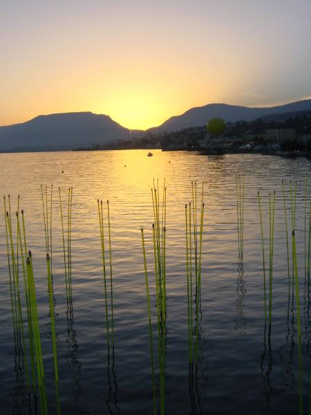 Klicken f�r Bild in Originalgr�sse