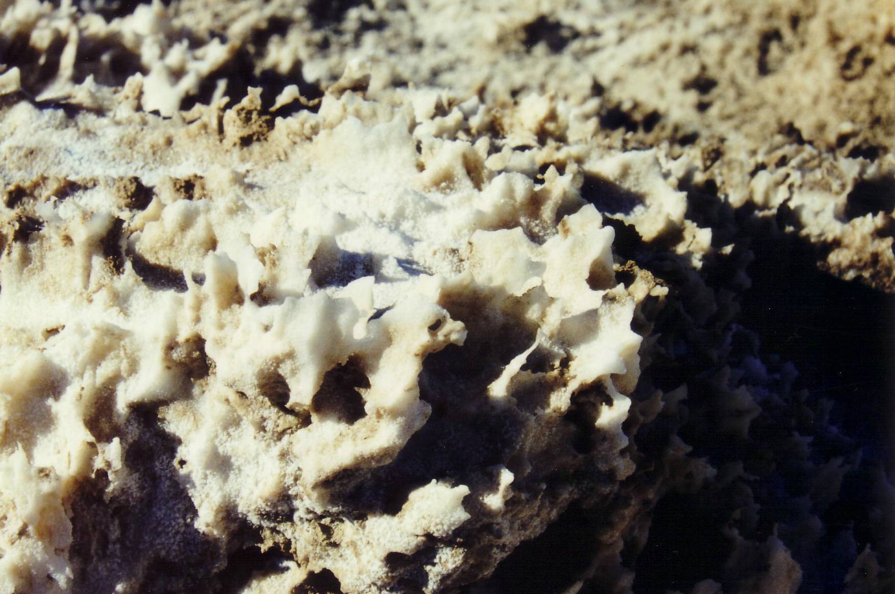 Salzkruste des Salzsees im Death Valley