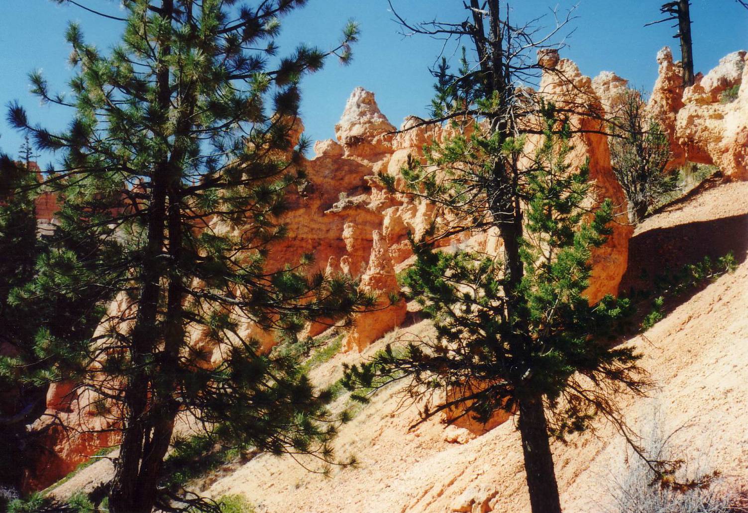 Bryce Canyon