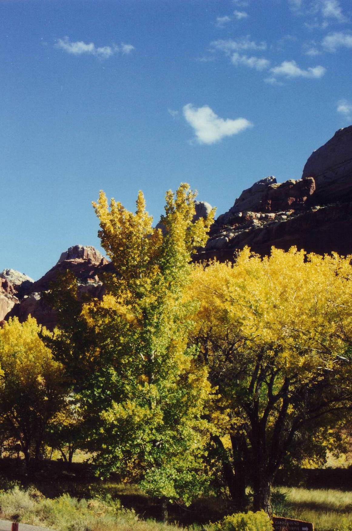 Captiol Reef National Park