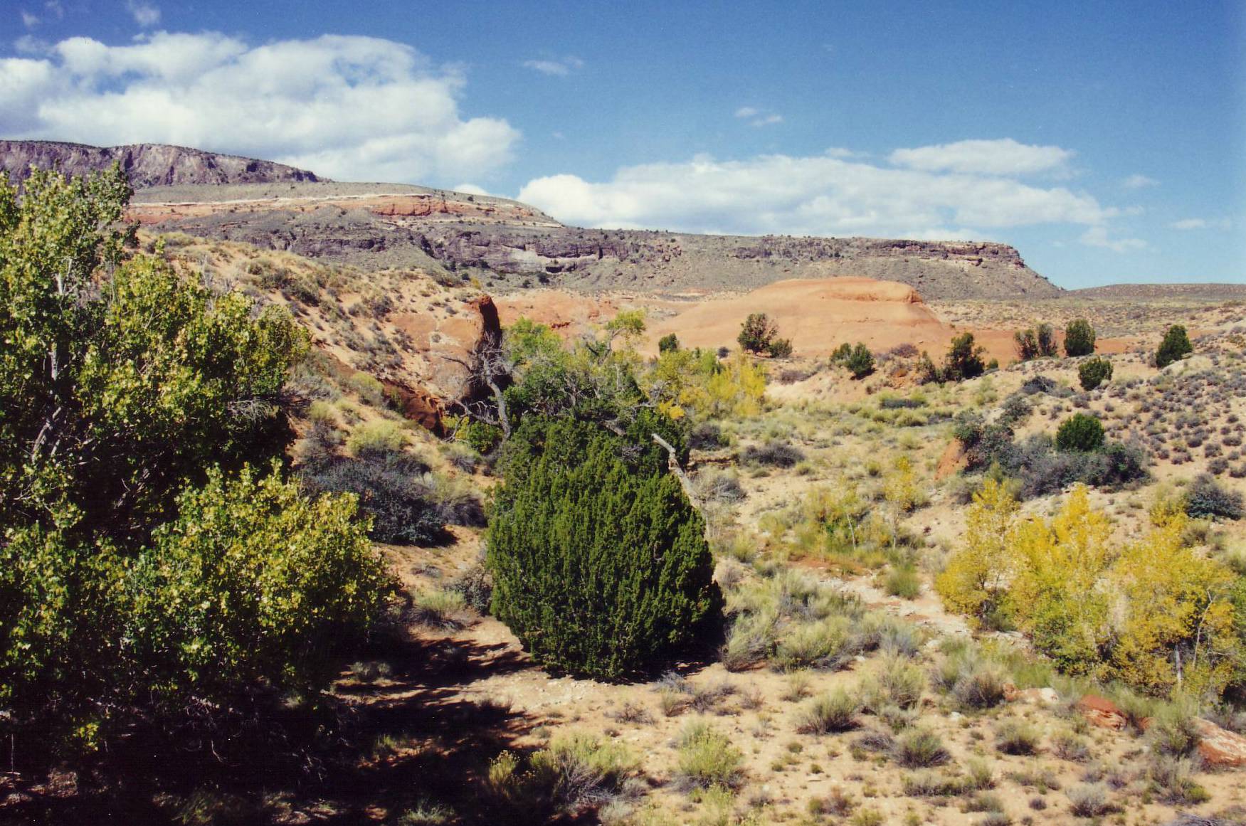 Zwischenhalt auf dem Weg vom Captiol Reef National Park.....
