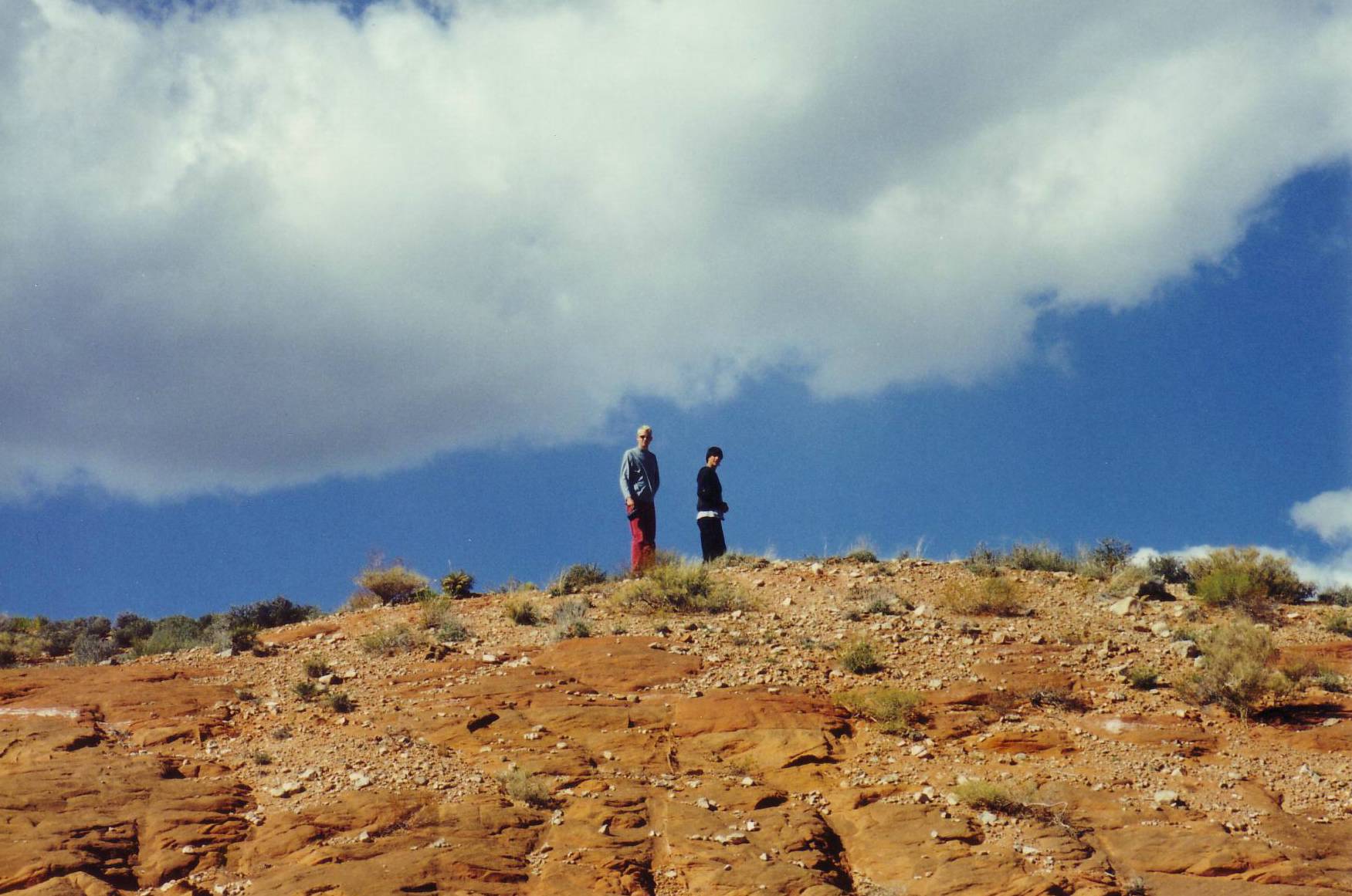 Zwischenhalt auf dem Weg vom Captiol Reef National Park.....